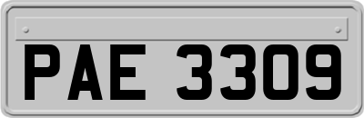 PAE3309
