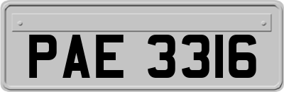 PAE3316