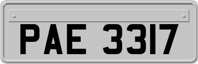 PAE3317