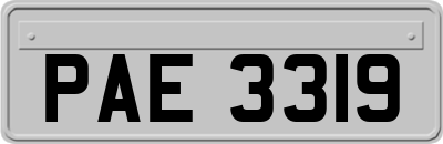 PAE3319