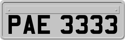 PAE3333