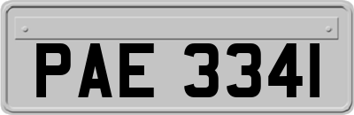 PAE3341