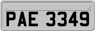 PAE3349