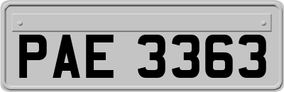 PAE3363