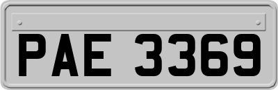 PAE3369