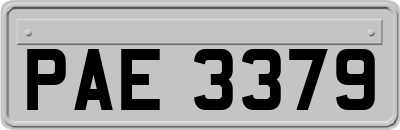 PAE3379