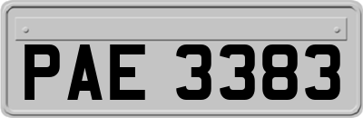 PAE3383