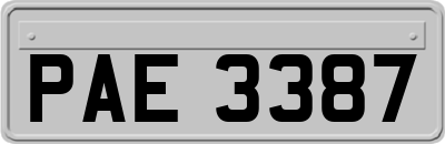 PAE3387