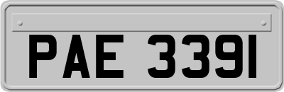 PAE3391