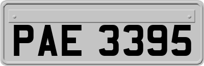 PAE3395