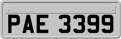 PAE3399
