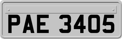PAE3405