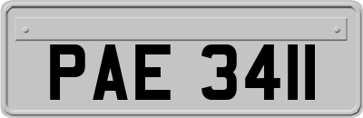 PAE3411