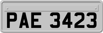 PAE3423