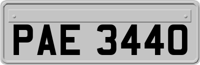 PAE3440