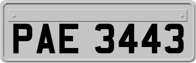 PAE3443