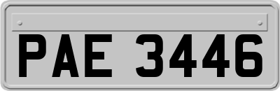 PAE3446
