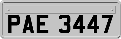 PAE3447