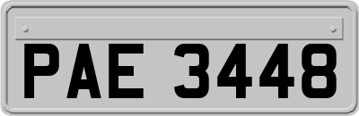 PAE3448
