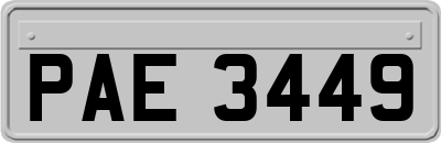 PAE3449