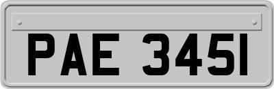 PAE3451