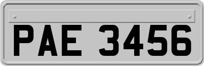 PAE3456
