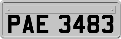 PAE3483