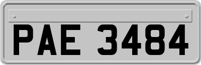 PAE3484