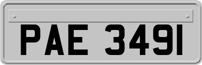 PAE3491