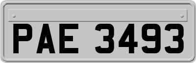 PAE3493