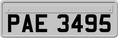 PAE3495