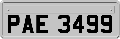 PAE3499