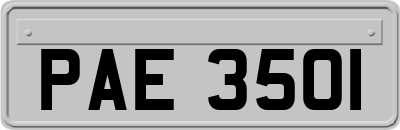 PAE3501