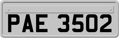 PAE3502