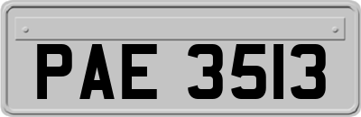 PAE3513