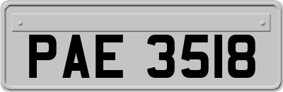 PAE3518