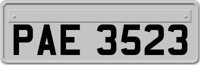 PAE3523