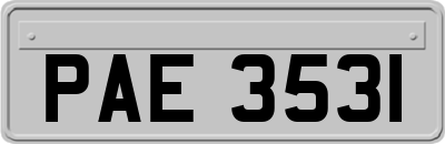 PAE3531