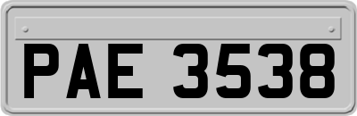 PAE3538