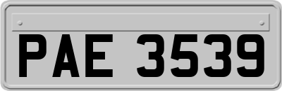PAE3539