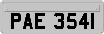 PAE3541
