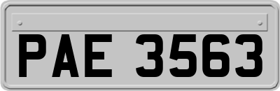 PAE3563
