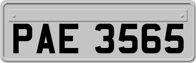 PAE3565
