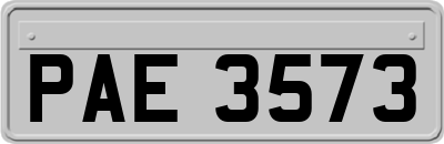 PAE3573