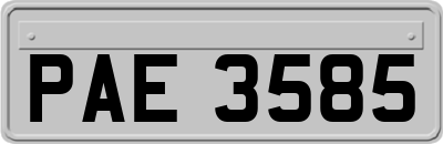 PAE3585