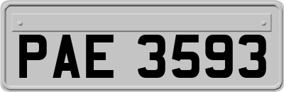 PAE3593