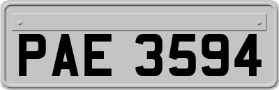 PAE3594