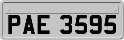 PAE3595