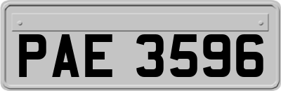 PAE3596