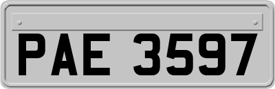 PAE3597